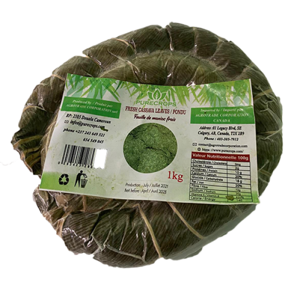 Pure crop fresh cassava leaves